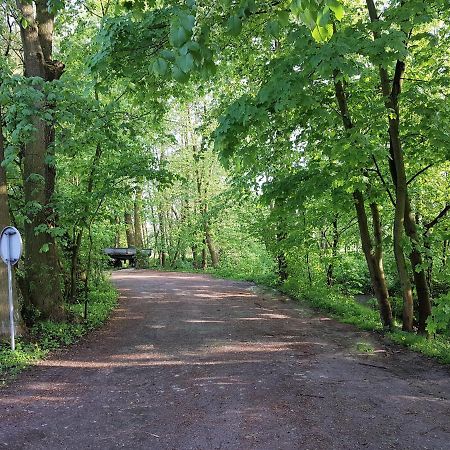 Gospodarstwo Agroturystyczne Stary Mlyn Wilczkowice Michalowice  Exteriér fotografie