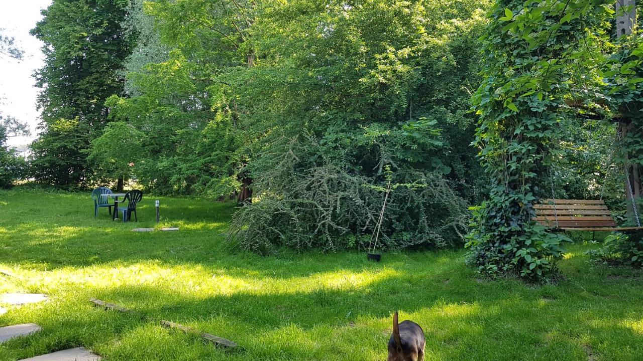 Gospodarstwo Agroturystyczne Stary Mlyn Wilczkowice Michalowice  Exteriér fotografie