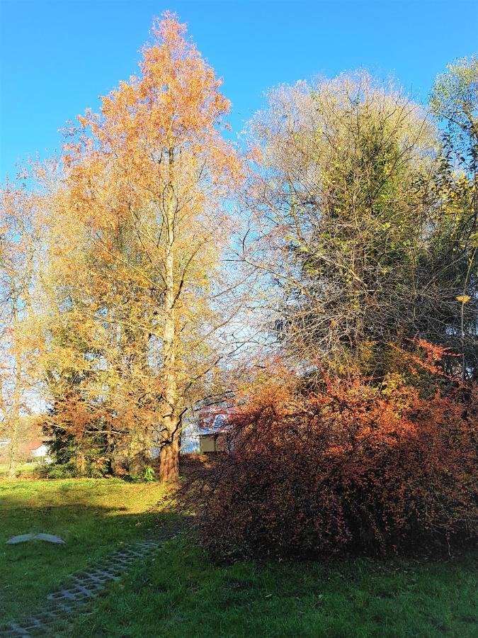 Gospodarstwo Agroturystyczne Stary Mlyn Wilczkowice Michalowice  Exteriér fotografie