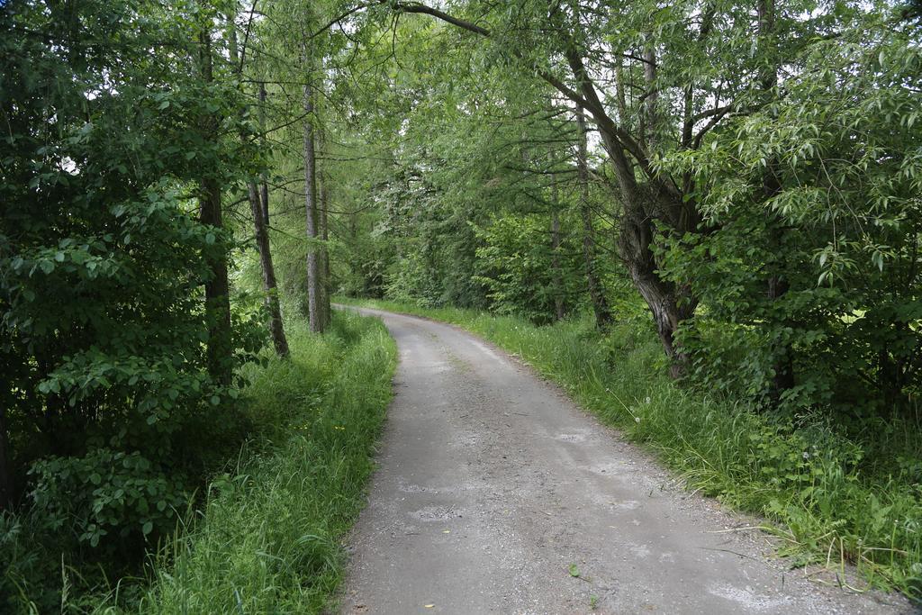 Gospodarstwo Agroturystyczne Stary Mlyn Wilczkowice Michalowice  Exteriér fotografie