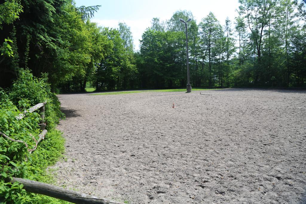 Gospodarstwo Agroturystyczne Stary Mlyn Wilczkowice Michalowice  Exteriér fotografie