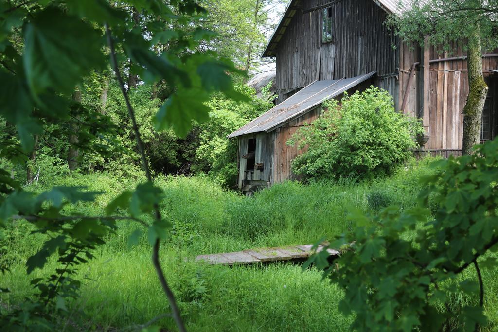 Gospodarstwo Agroturystyczne Stary Mlyn Wilczkowice Michalowice  Exteriér fotografie