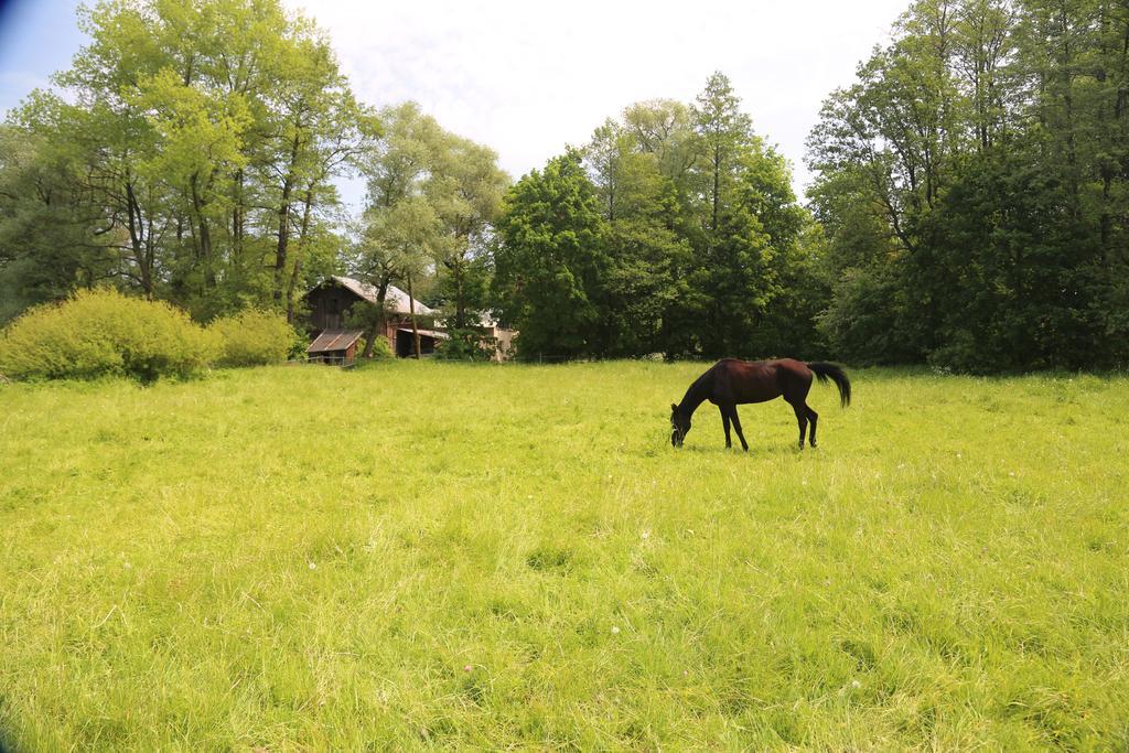 Gospodarstwo Agroturystyczne Stary Mlyn Wilczkowice Michalowice  Exteriér fotografie