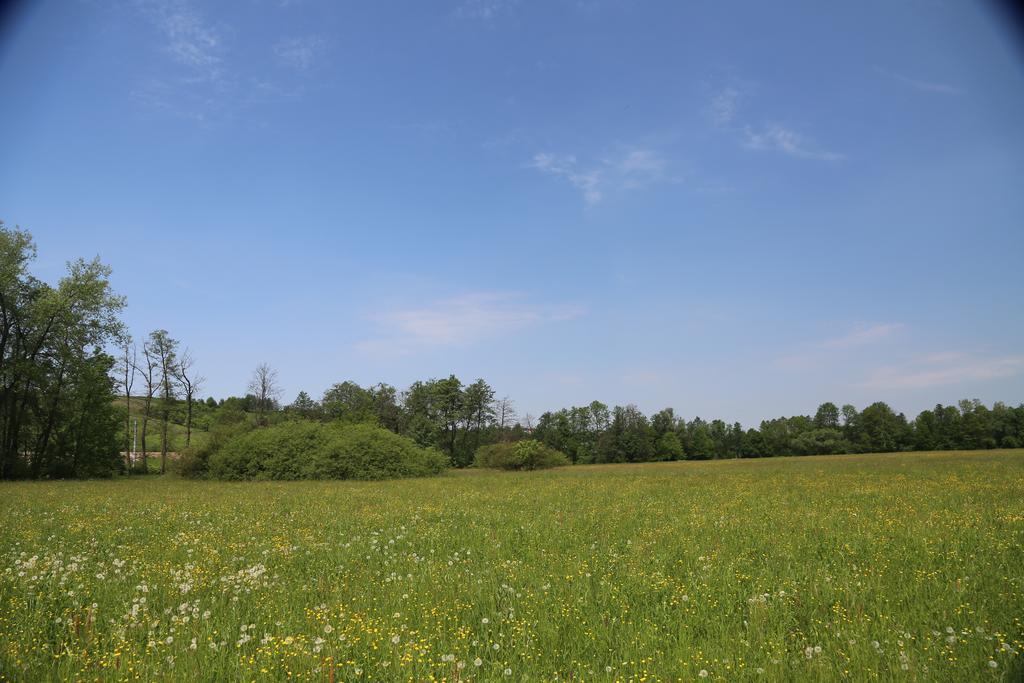 Gospodarstwo Agroturystyczne Stary Mlyn Wilczkowice Michalowice  Exteriér fotografie