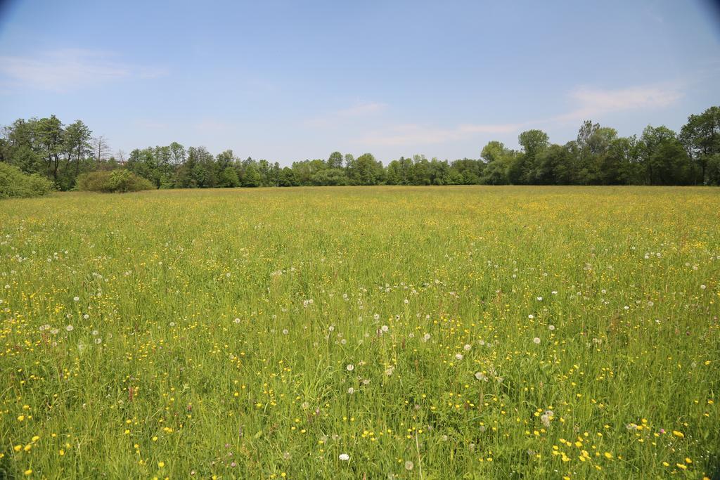 Gospodarstwo Agroturystyczne Stary Mlyn Wilczkowice Michalowice  Exteriér fotografie