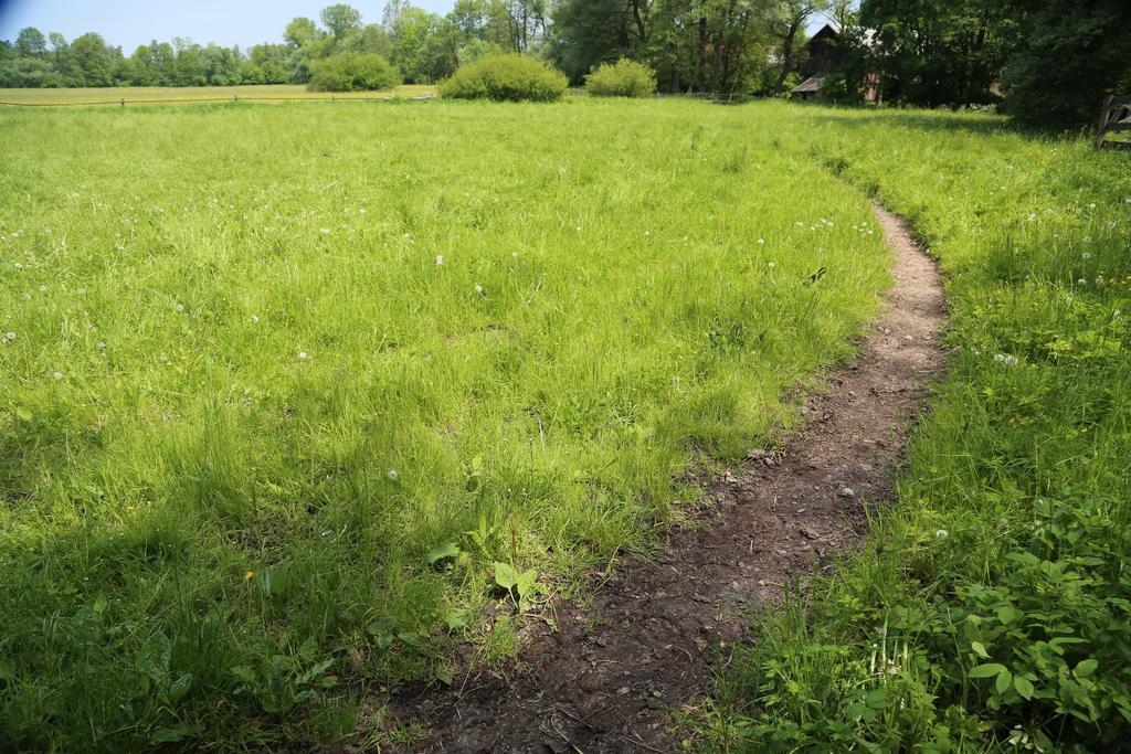 Gospodarstwo Agroturystyczne Stary Mlyn Wilczkowice Michalowice  Exteriér fotografie